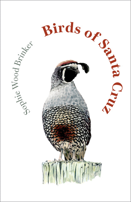 Birds of Santa Cruz by Wood Brinker, Sophie. ISBN 9781597147095.
