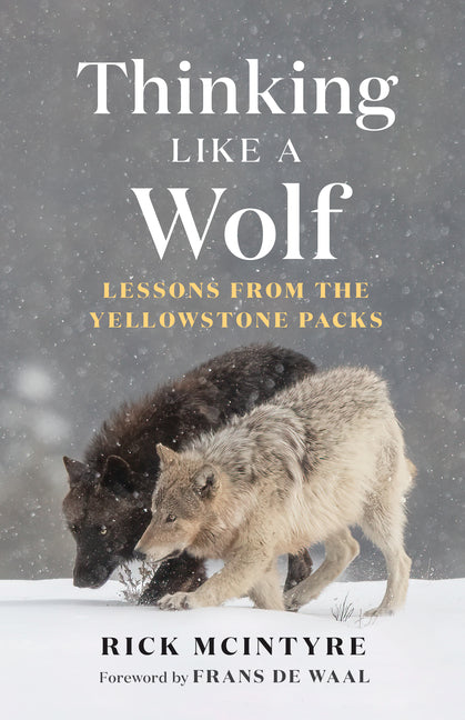 Thinking Like a Wolf: Lessons from the Yellowstone Packs by McIntyre, Rick. ISBN 9781778403767.