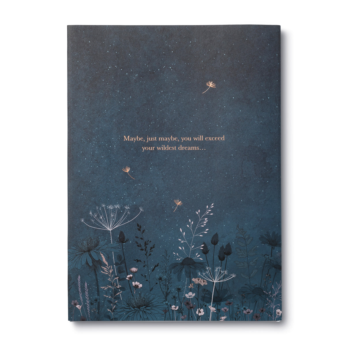 PRH extra: 9781946873750_9781946873750-Maybe.Back Cover.jpg