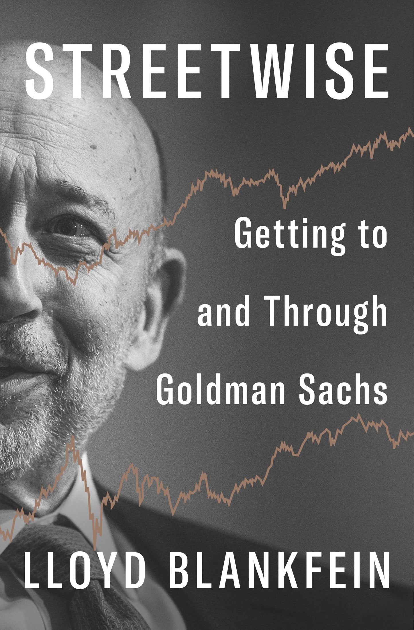 Streetwise: Getting to and Through Goldman Sachs by Blankfein, Lloyd. ISBN 9798217058921.