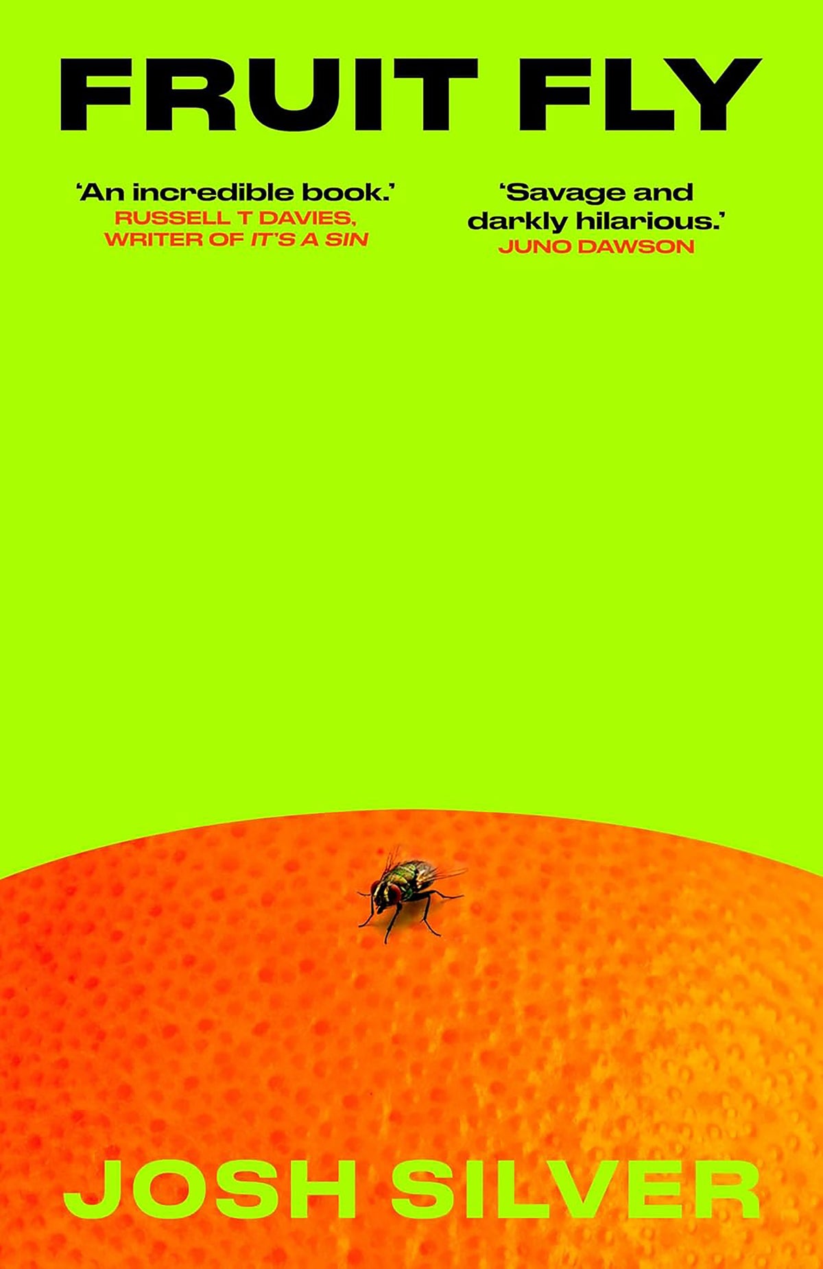 Fruit Fly by Silver, Josh. ISBN 9798892426374.