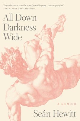 All Down Darkness Wide: A Memoir by Hewitt, Seán