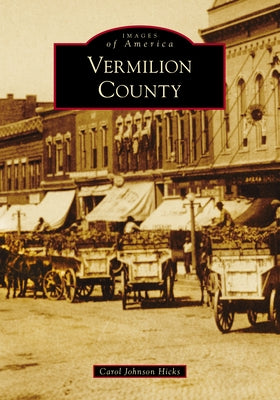 Vermilion County by Hicks, Carol Johnson