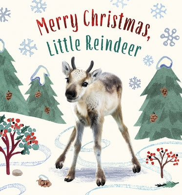 Merry Christmas, Little Reindeer: A Board Book by Wood, Amanda