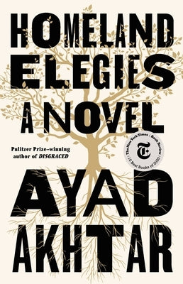 Homeland Elegies by Akhtar, Ayad