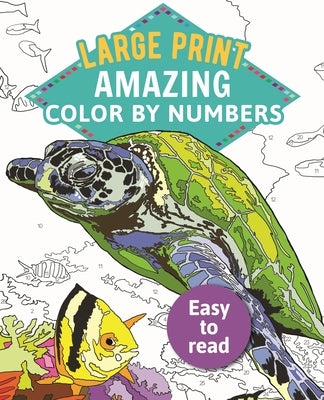 Amazing Color by Numbers Large Print by Arcturus Publishing Limited
