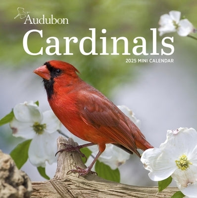 Audubon Cardinals Mini Wall Calendar 2025 by National Audubon Society