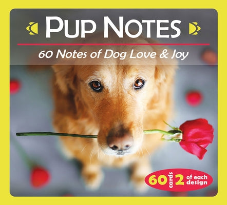 Pup Notes by U. S. Games Systems