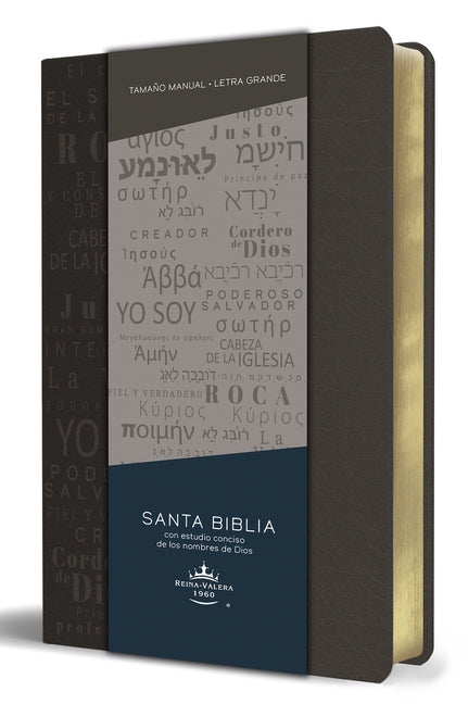 Biblia Rvr 1960 Letra Grande Tamaño Manual, Simil Piel Gris Con Nombres de Dios / Spanish Bible Rvr 1960 Handy Size Large Print Leathersoft Grey, Name