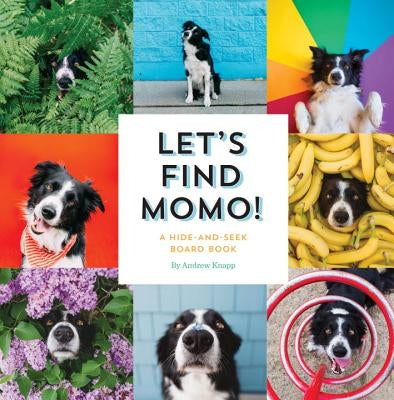 Let's Find Momo!: A Hide-And-Seek Board Book