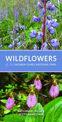 Wildflowers of the Indiana Dunes National Park