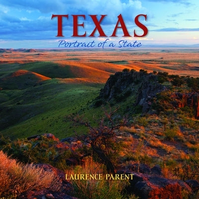 Texas: Portrait of a State