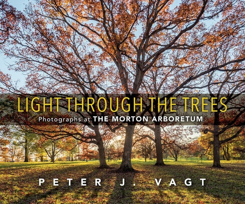 Light Through the Trees: Photographs at the Morton Arboretum